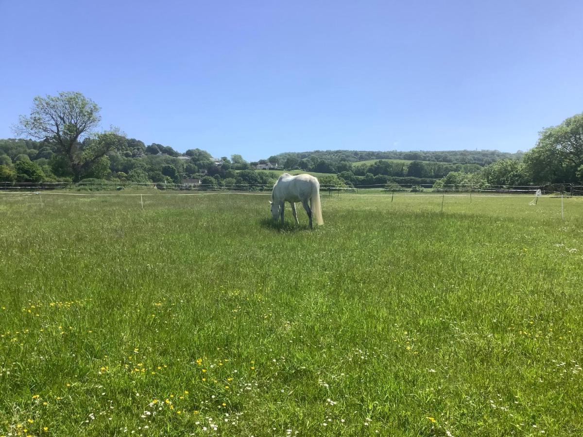 The Forge Villa Winscombe Luaran gambar